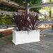 A white Mayne Cape Cod Trough Planter with a purple plant on a wooden deck.