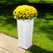 A white rectangular Mayne Nantucket planter with yellow flowers.
