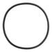 A black rubber o-ring with a black circle on a white background.