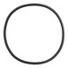 A black rubber o-ring with a black circle on a white background.