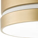 A Globe Glam soft gold ceiling light with a frosted inner shade.
