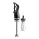 A Galaxy light-duty immersion blender with a whisk attachment.