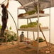 A man assembling an AR Shelving galvanized boltless wire shelving unit in a greenhouse.