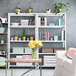 A white AR Shelving unit with plants and books on the shelves in a white room.