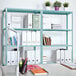 A blue AR Shelving unit with 5 shelves holding binders and a potted plant.