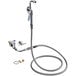 A T&S deck mount pot/kettle filler faucet with a hose and 90-degree spray nozzle.