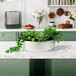 A white ceramic dish with artificial succulents on a white kitchen counter.