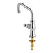 A T&S chrome deck-mount faucet with a gold screw.