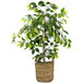 A LCG Sales artificial ficus tree in a basket with handles.