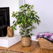 A 4' artificial ficus tree in a basket next to a fireplace.