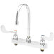 A T&S chrome deck-mount faucet with swivel gooseneck nozzle and wrist action handles.
