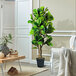 A 6' artificial fig tree in a black plastic pot in a room with a white couch.