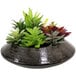 A group of artificial succulents in a black bowl.