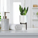 A white ceramic plant stand with a white plant in a white room.