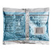 A package of blue and white Lifoam Freez Pak medium ice packs.