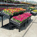 A Benchmaster plastic grid display with rows of flowers in pots.