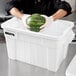 A person holding a watermelon in a Rubbermaid white tote.