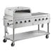 A Backyard Pro stainless steel outdoor grill with two burners.