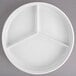 A white melamine plate with three sections.