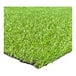 A close-up of a FloorEXP synthetic grass roll with a patch of green grass.