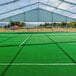 A green FieldEXP ChoiceTurf event turf roll with white lines.