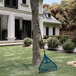 A Suncast telescoping rake leaning against a tree in a yard.