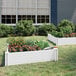 A white Suncast raised garden bed with plants in it.