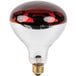 Lavex Janitorial 250 Watt Red Infrared Heat Lamp Light Bulb Main Thumbnail 1
