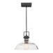 A Globe matte black pendant light with clear glass shade.