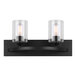 A black Canarm rectangular vanity light with clear glass shades over two light bulbs.