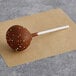 A Coco Bakery chocolate cake pop on a stick with chocolate drizzle and sprinkles.