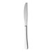 A RAK Youngstown Kampton stainless steel dessert knife with a silver handle on a white background.