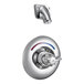 A Delta chrome shower knob with a thermostatic shower head.