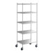 A Regency stainless steel mobile shelving unit with wheels.