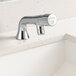 A close-up of a Waterloo chrome deck-mount metering faucet.