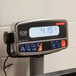 A Tor Rey EQB-I digital counter-top receiving scale with tower display.