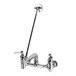 A T&S chrome wall mount service sink faucet with handles and hose.