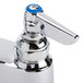 A chrome T&S medical faucet with blue lever handles.