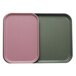 A green and pink rectangular Cambro tray insert.