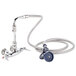 A T&S stainless steel wall mount pet grooming faucet with hose.