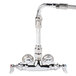 A chrome T&S wall mount pet grooming faucet with a hose attached.