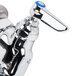 A chrome T&S wall mount pet grooming faucet with blue handles.