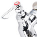A chrome T&S wall mount pet grooming faucet with red handles and a red knob.