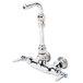 A silver T&S wall mount pet grooming faucet with a handle and sprayer hose.