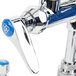 A T&S chrome wall mount pet grooming faucet with blue knobs.