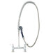A T&S stainless steel deck mount pet grooming faucet with a flexible hose.