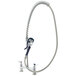 A T&S chrome deck mount pet grooming faucet with a hose.