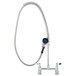 A T&S stainless steel pet grooming faucet with a hose.