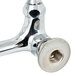 A T&S chrome wall mount pet grooming faucet with a nut on the end.