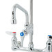 A T&S chrome pet grooming faucet with blue handles.
